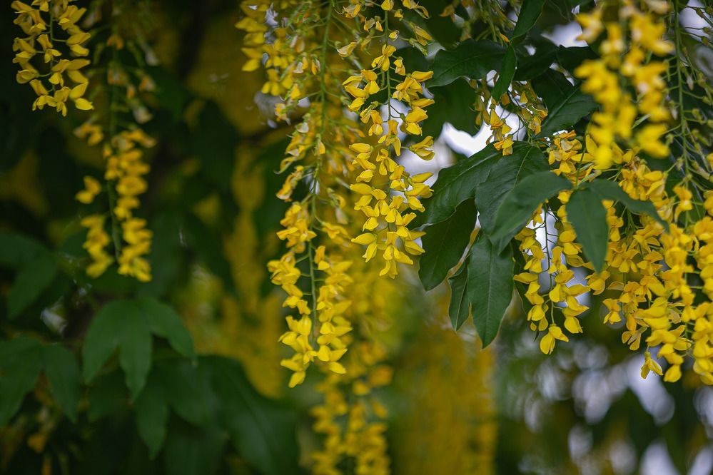 Photograph by Очева Наталья Александровна