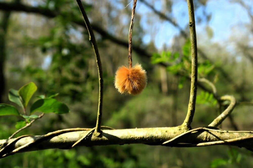 Photograph by Fernando Lima