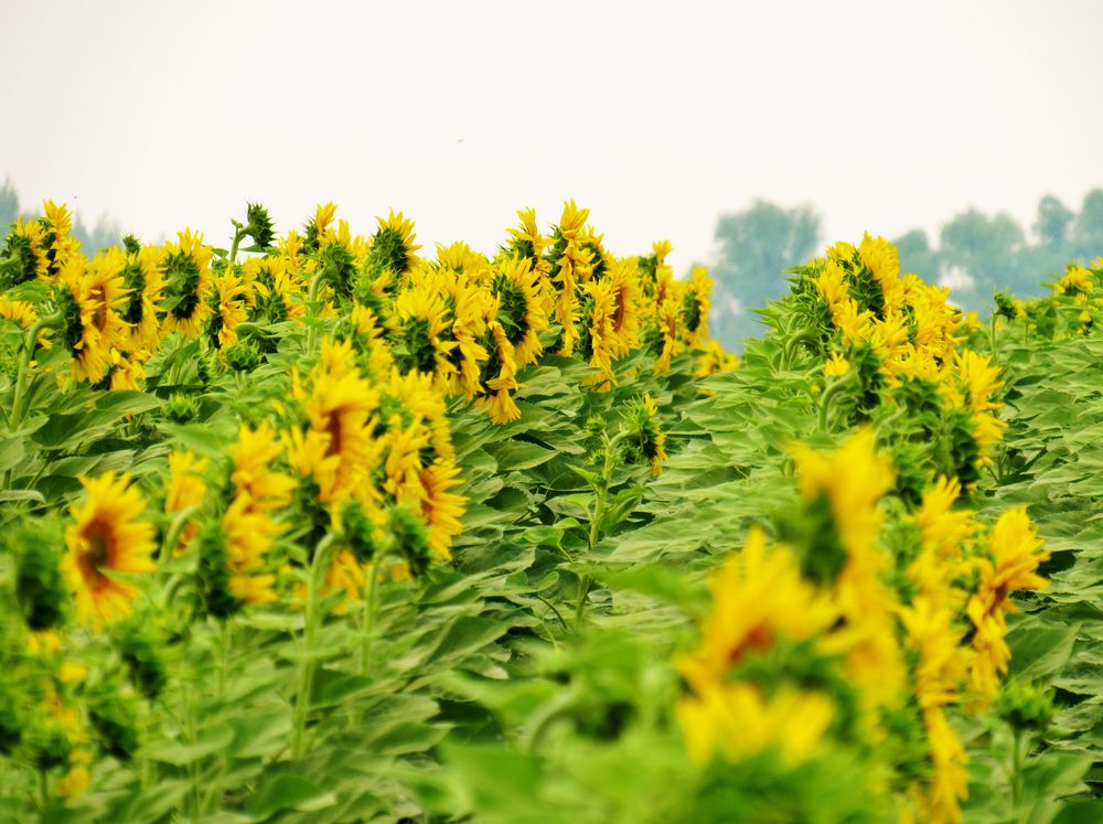 Photograph by Виктор Карпухин