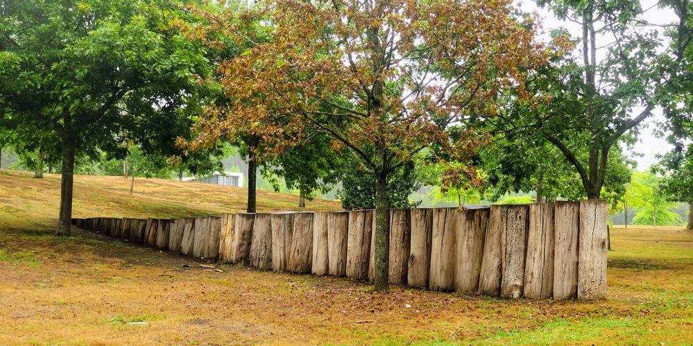 Photograph by Fernando Lima