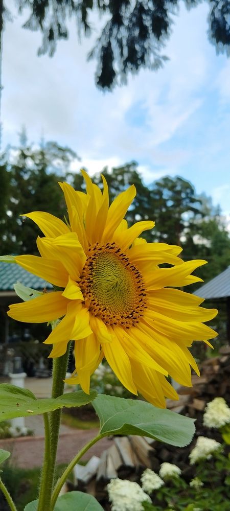 Photograph by Любовь Макарова