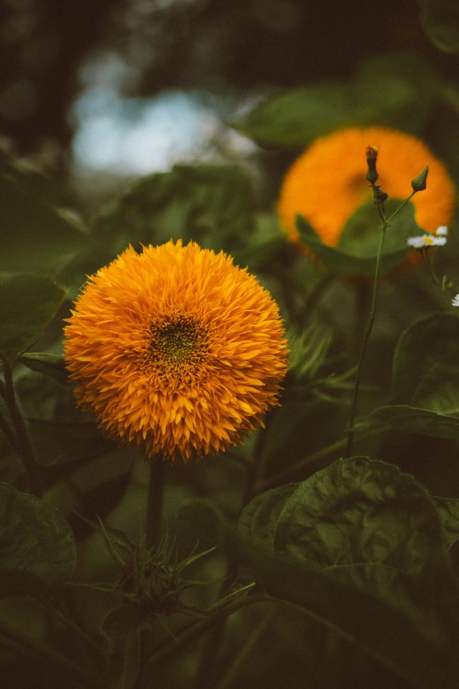 Photograph by Анжелика Сидорова