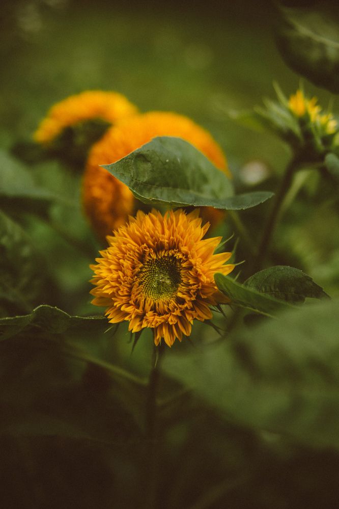 Photograph by Анжелика Сидорова