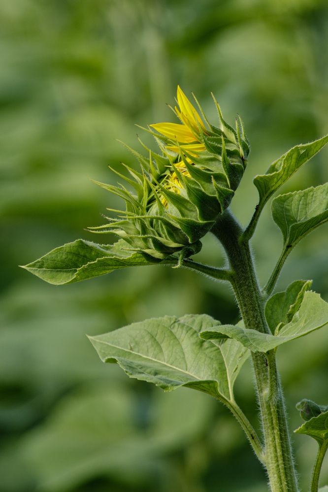 Photograph by Мешков Кирилл