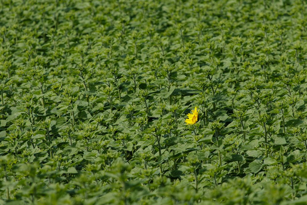 Photograph by Мешков Кирилл