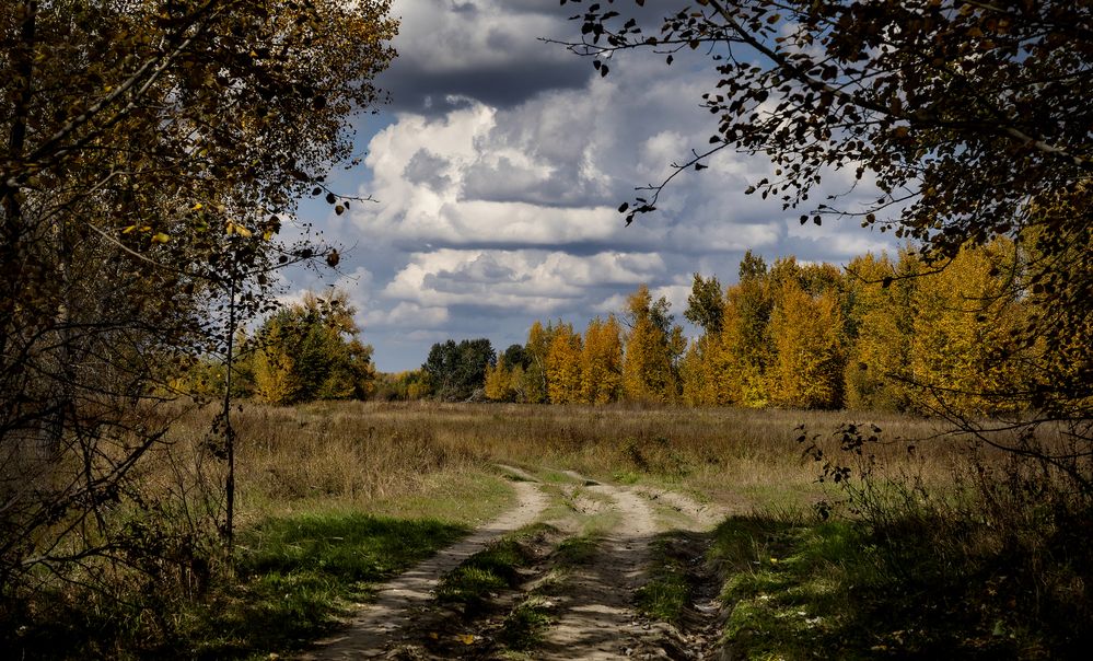 Фотография автора Александр Бичинев