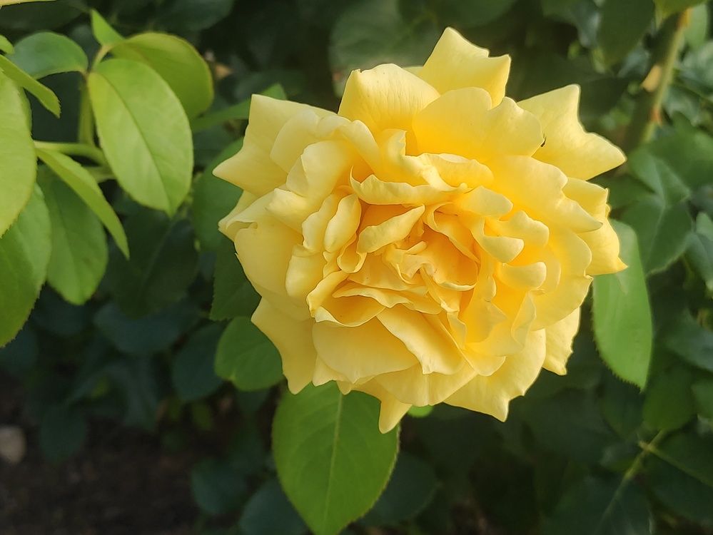 Photograph by Юлия Новожилова