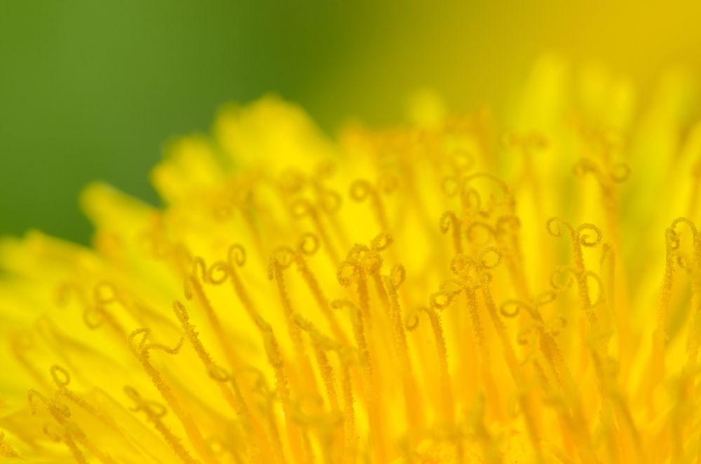 Фотография автора Михаил