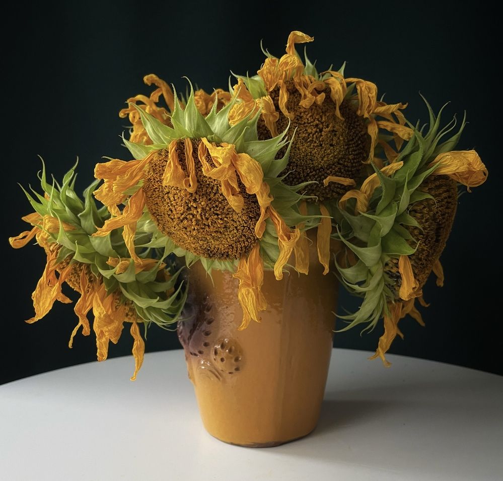 Фотография автора Рамзия Хисамутдинова