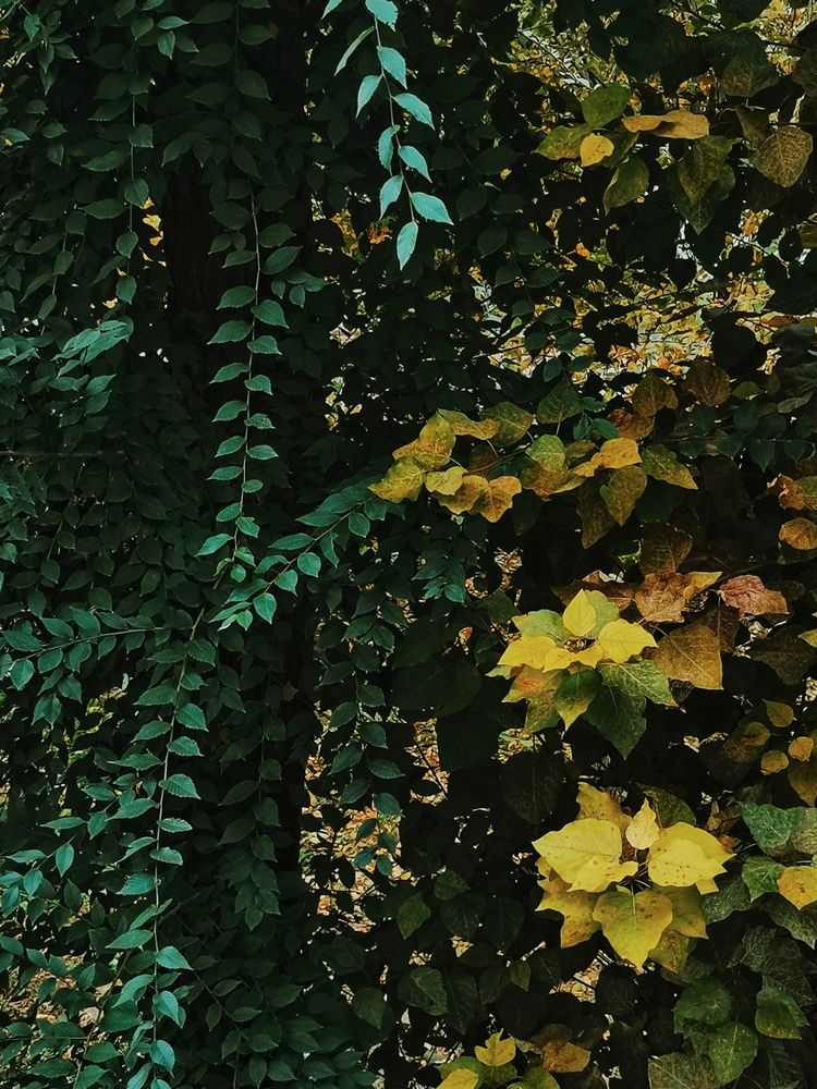 Фотография автора Екатерина Першина