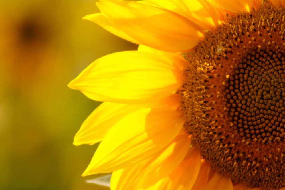 Photograph by Мешков Кирилл