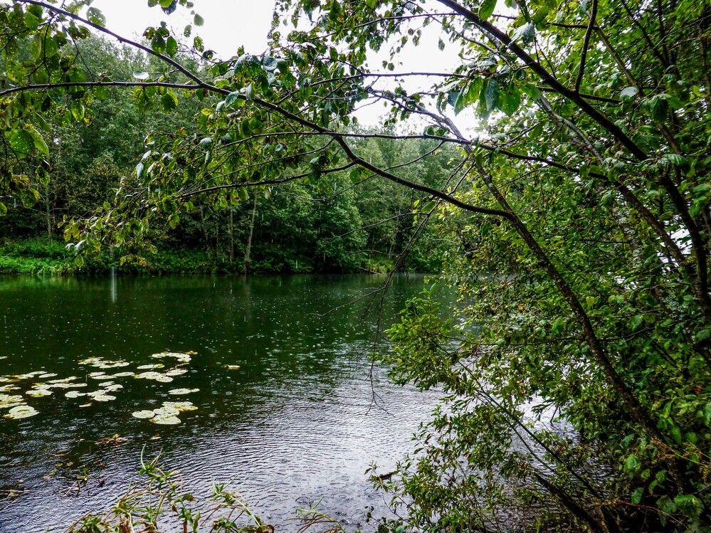 Photograph by Алексей Логинов