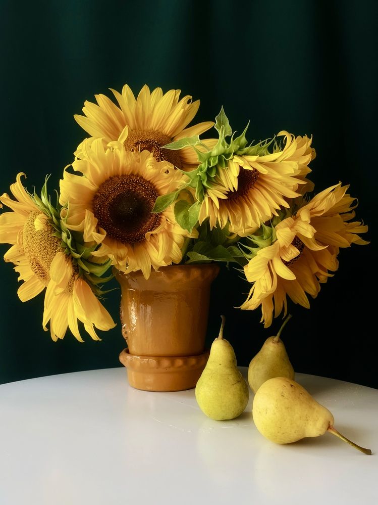 Фотография автора Рамзия Хисамутдинова