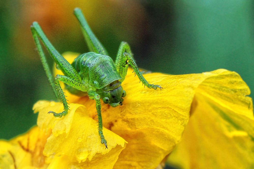 Photograph by Vitaliy Saposhnikov