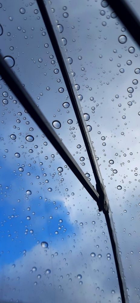 Небо осени серое с просинью??? или синее с проседью???