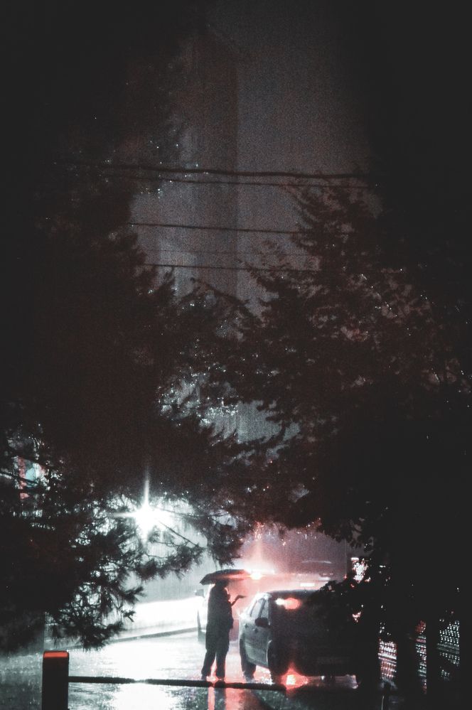 Фотография автора Еремеева Лада