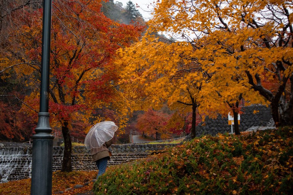 Photograph by kurodon