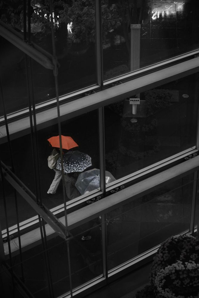 Photograph by kurodon