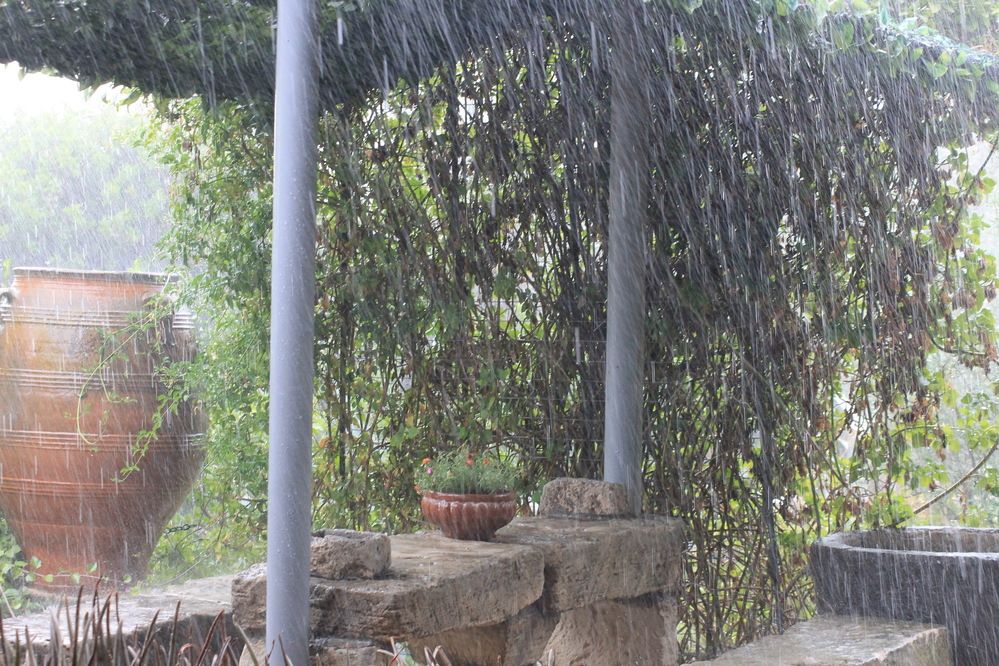 Photograph by Александр Гришин