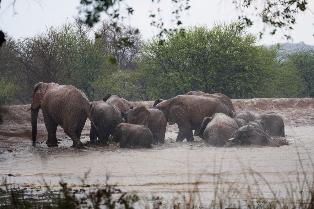 Photograph by Raed Victor Saad