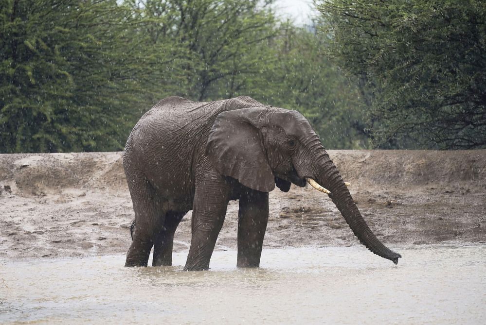 Photograph by Raed Victor Saad