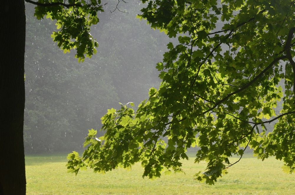 Photograph by Настя