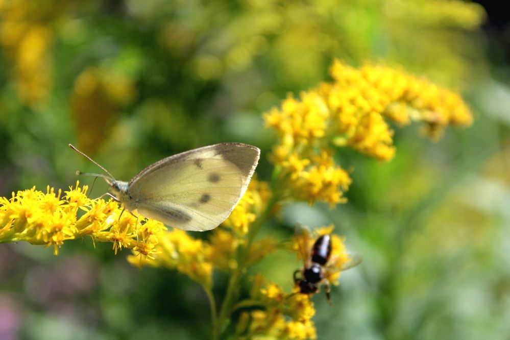 Photograph by Юлия Чурина