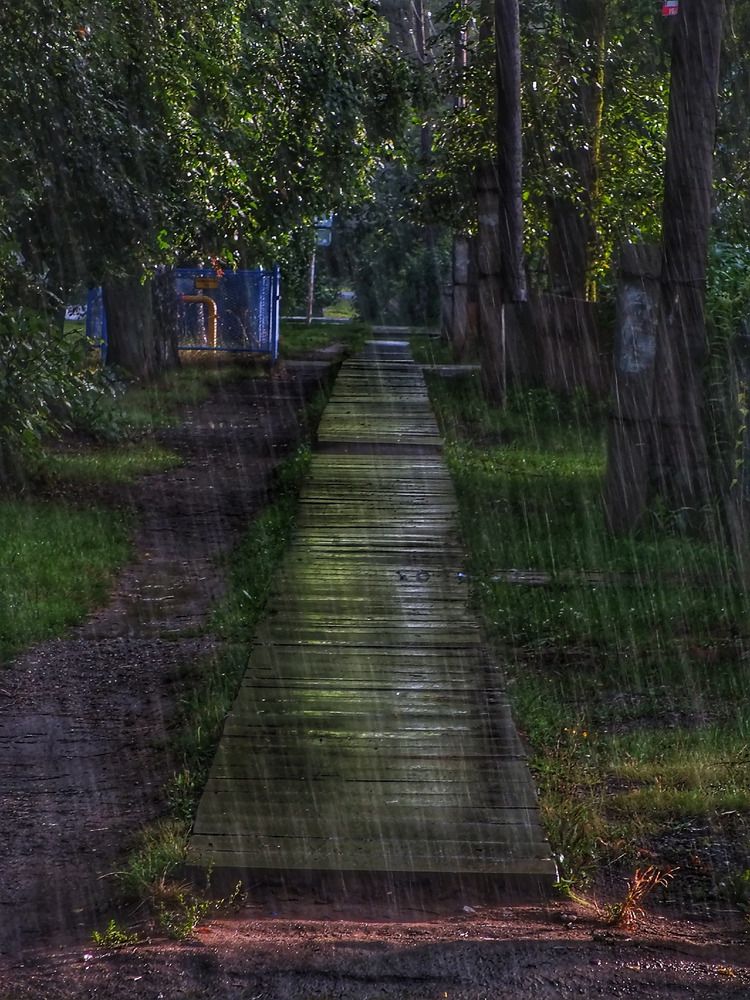 Photograph by Андрей Березин
