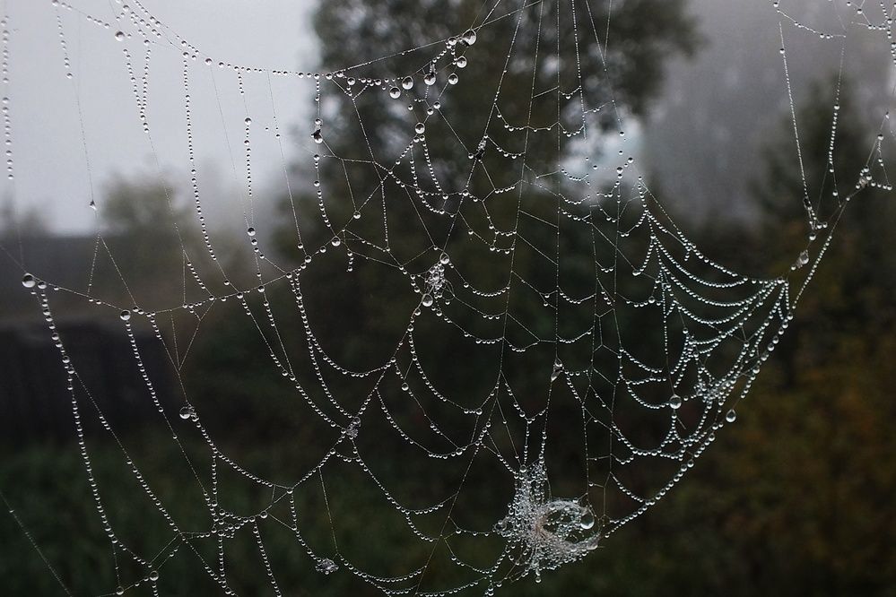 Photograph by Андрей Березин