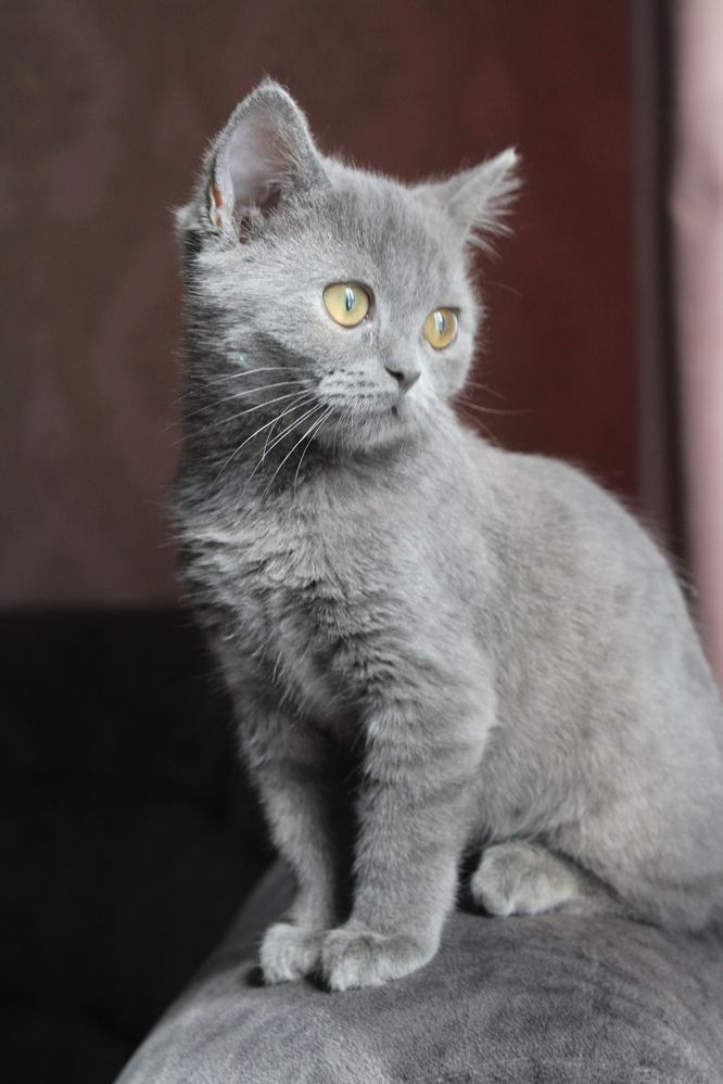 Photograph by Юлия Чурина