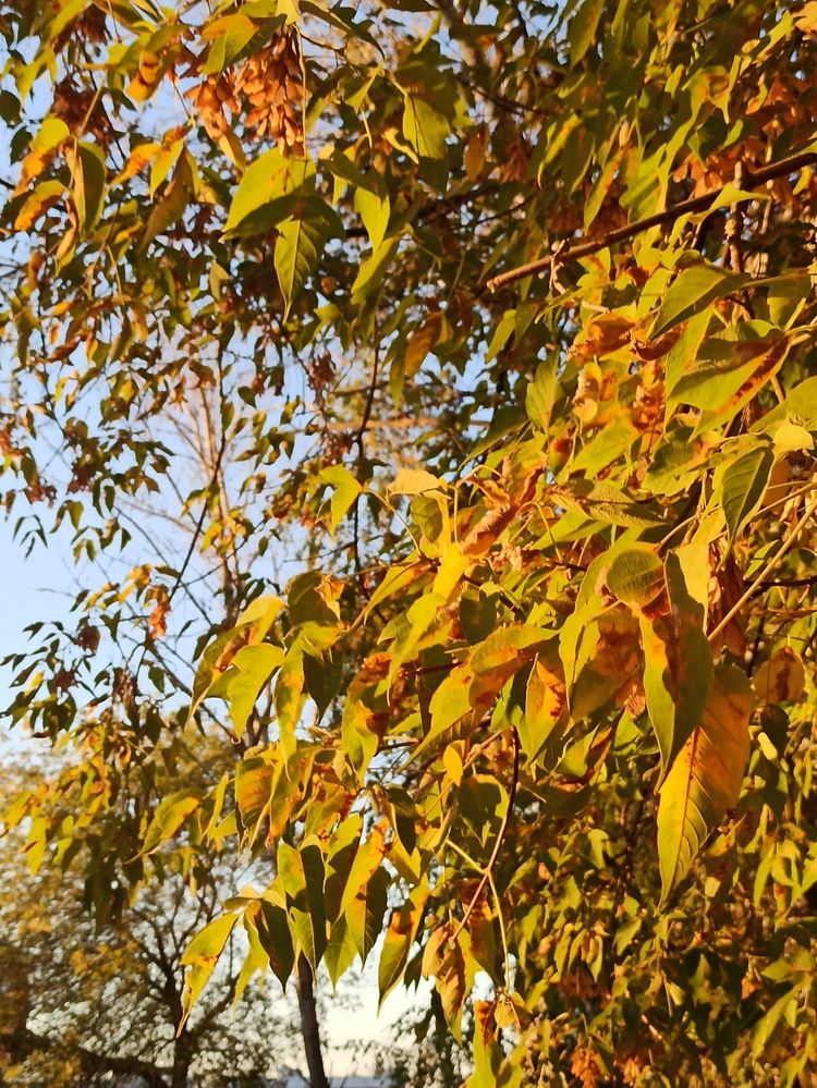 Photograph by Игорь Максимов