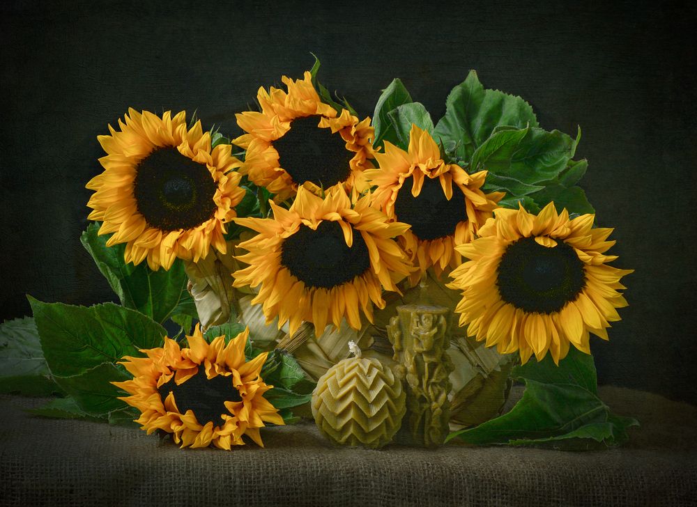 Photograph by Inna Ivanova