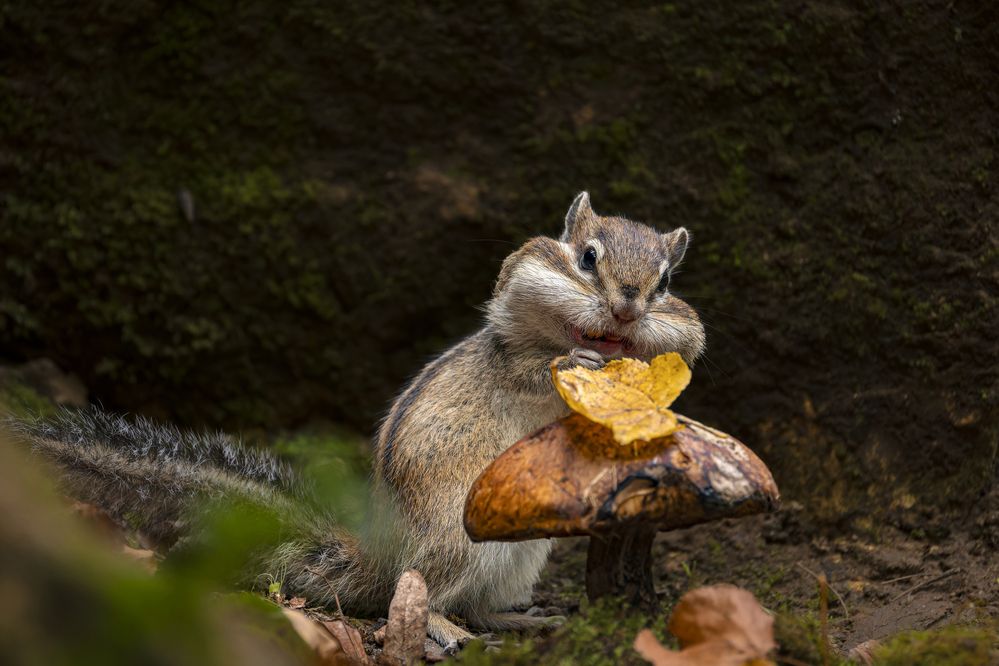 Photograph by Светлана Барабанщикова