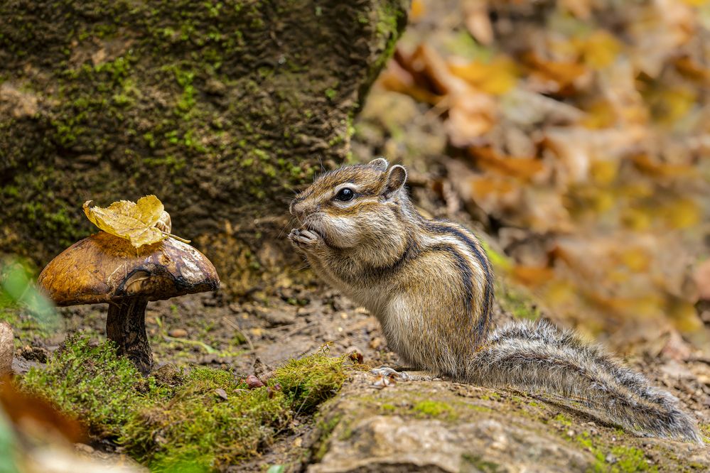 Photograph by Светлана Барабанщикова