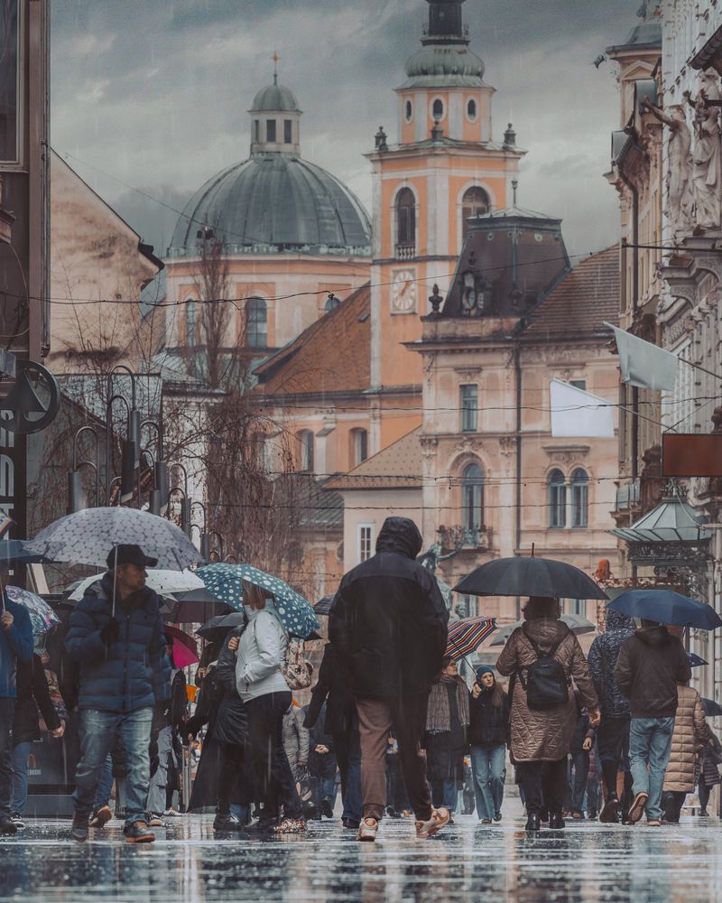 Rhythm under umbrellas