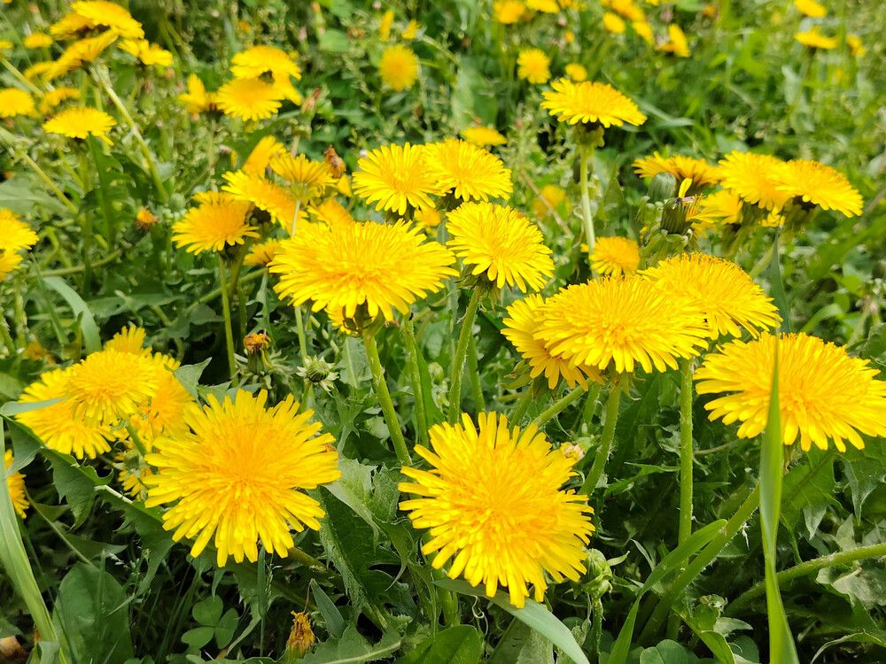 Photograph by Виталий Са