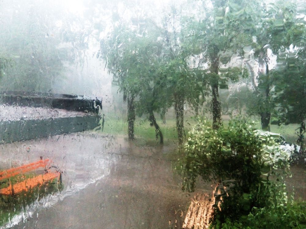 Photograph by Нестеренко Светлана