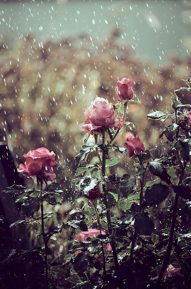 Photograph by Константин Громов