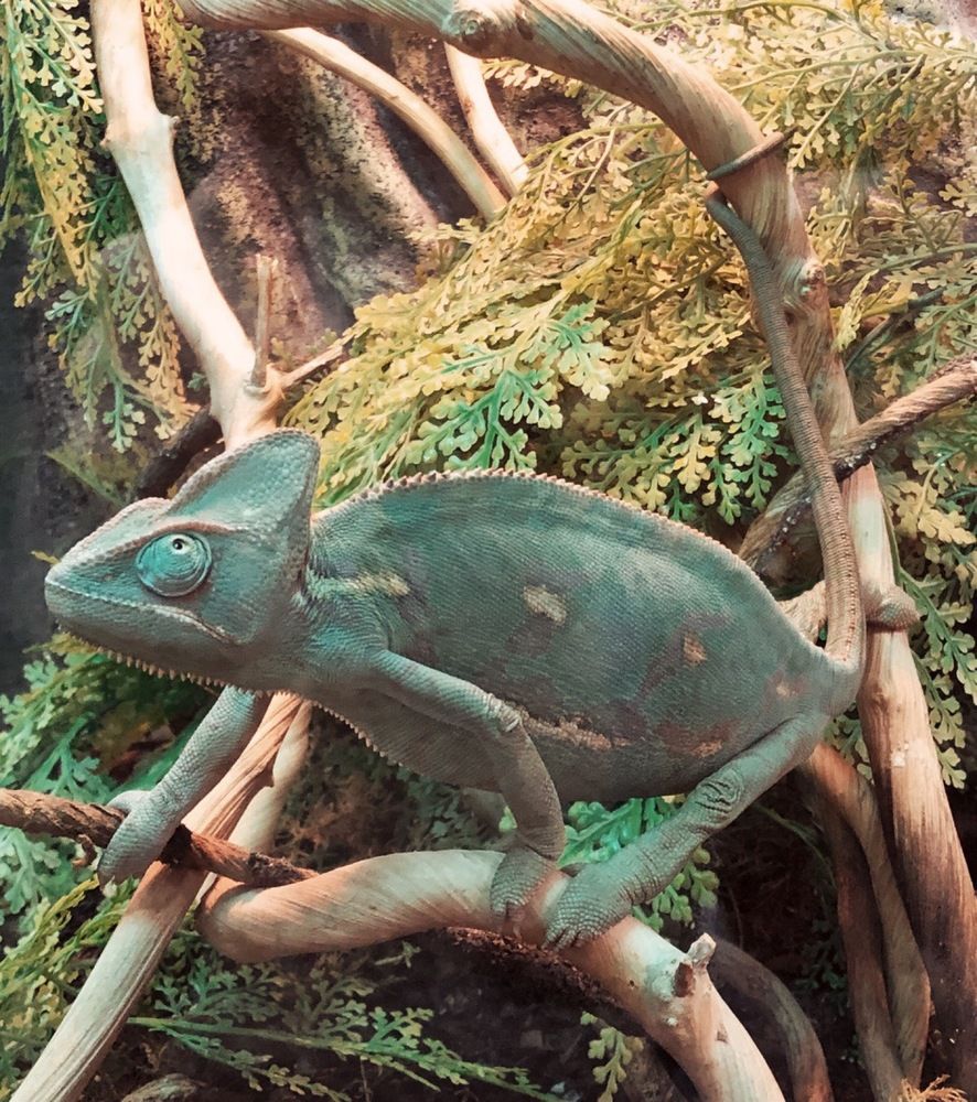 Photograph by Марина Георгиева