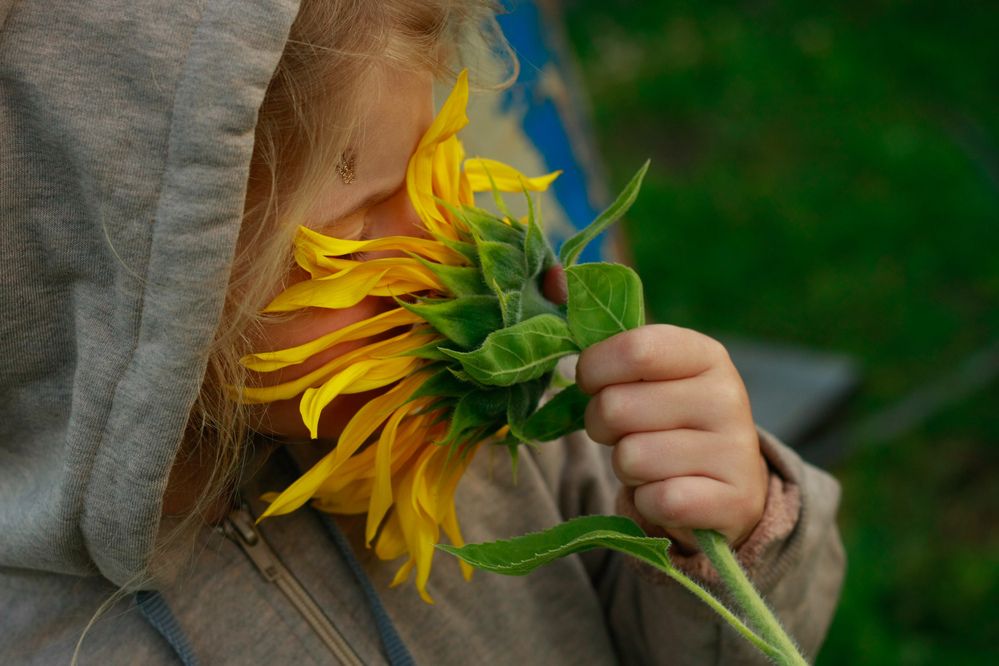 Photograph by Елена Лоцманова