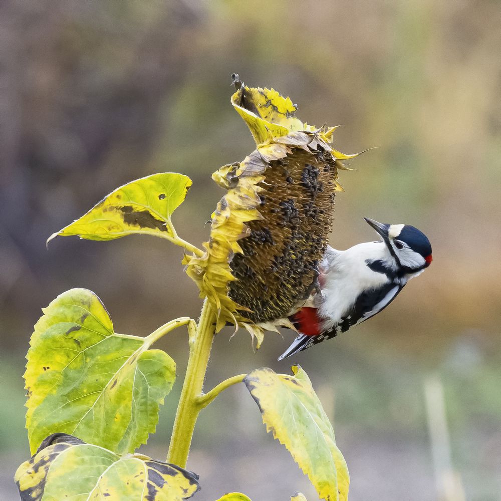 Photograph by Валерий Черняк