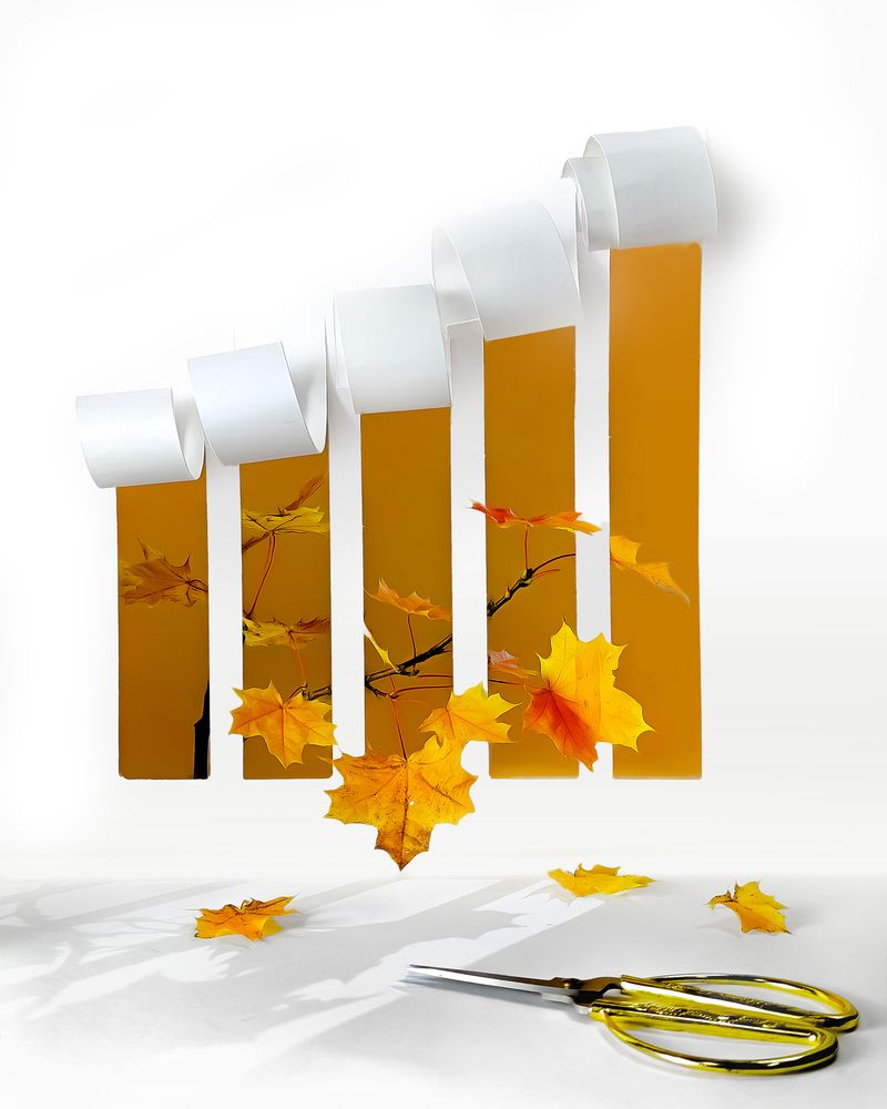 Photograph by Margarita