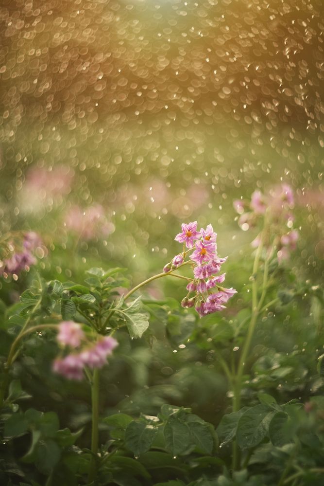 Photograph by Елена Косинова