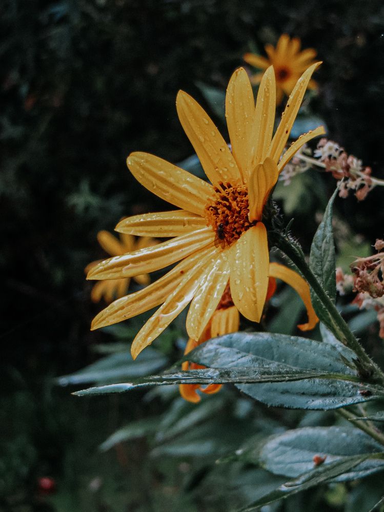 Photograph by Александра