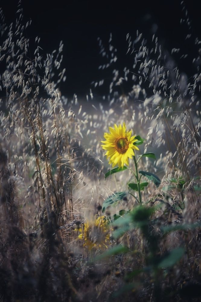 Photograph by Stella Szpinek