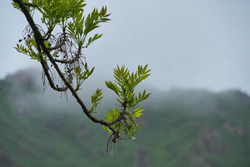 Фотография автора Dana Korolkova