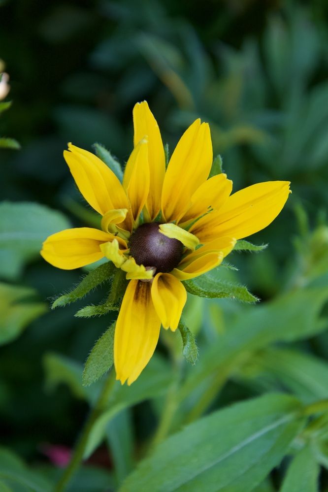 Photograph by OLGA LIZ