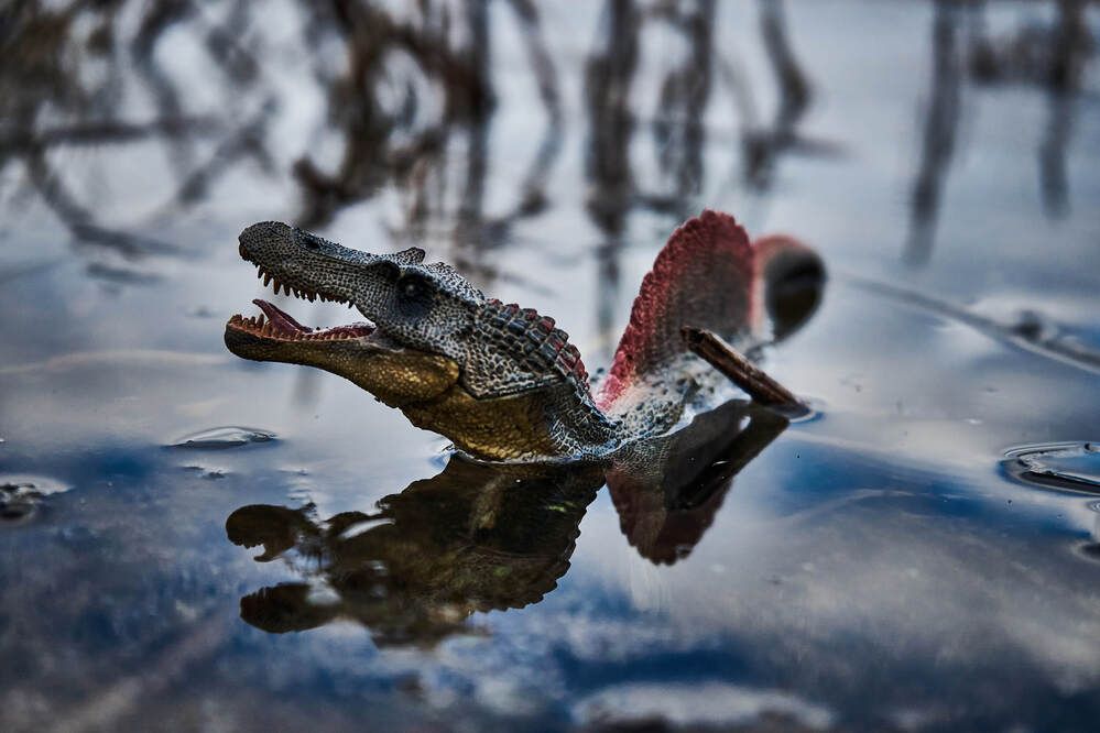 Photograph by Максим Карпович