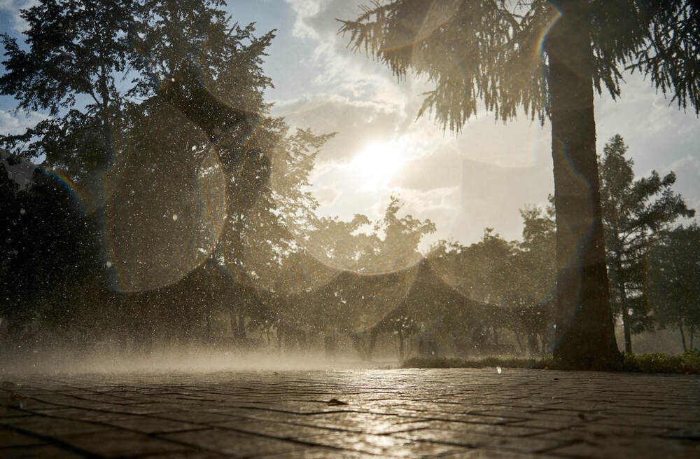 Photograph by Максим Карпович