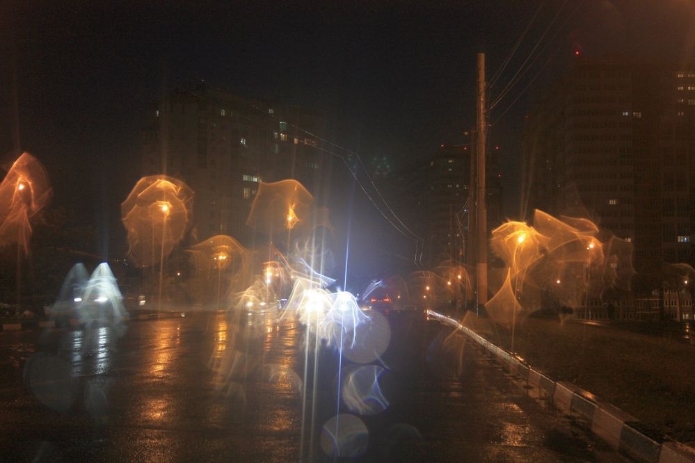 Photograph by Сергей Христинич